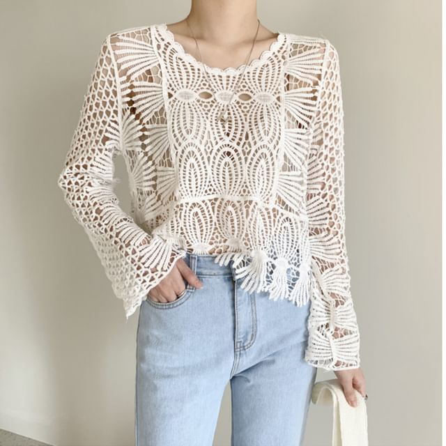 Round Neck Long Sleeve Scallop Trim Crochet Knit Top