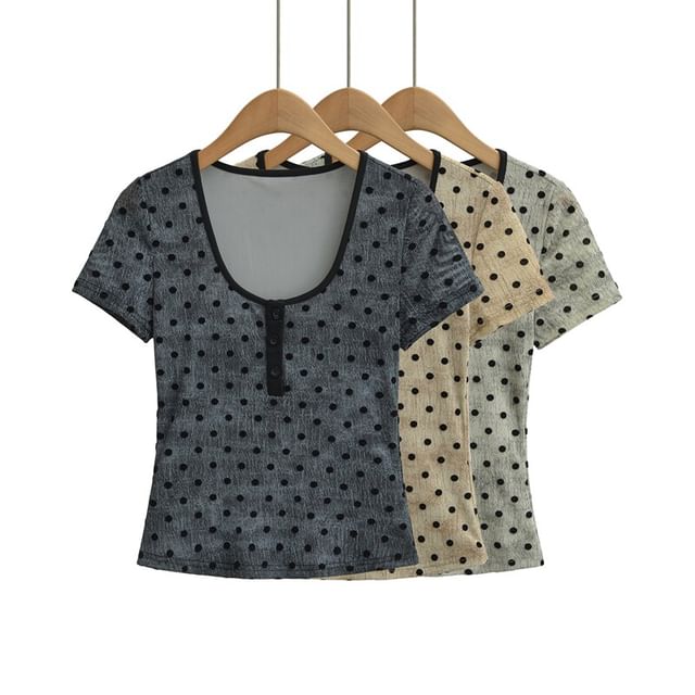 Short-Sleeve Scoop Neck Dotted Crop T-Shirt