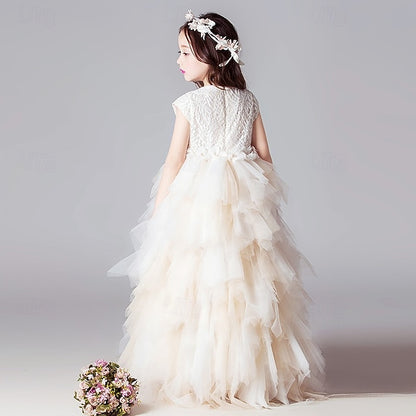 Flower Girls' Kid's Girl Dress Princess