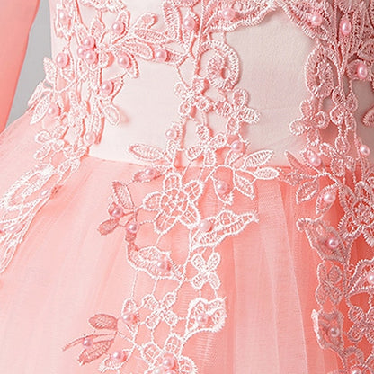 Girls' Dress Kid's Flower Girl Princess