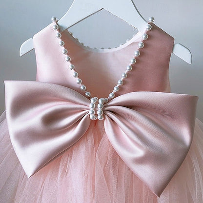 Girl Kid's Dress Princess Flower Girls'