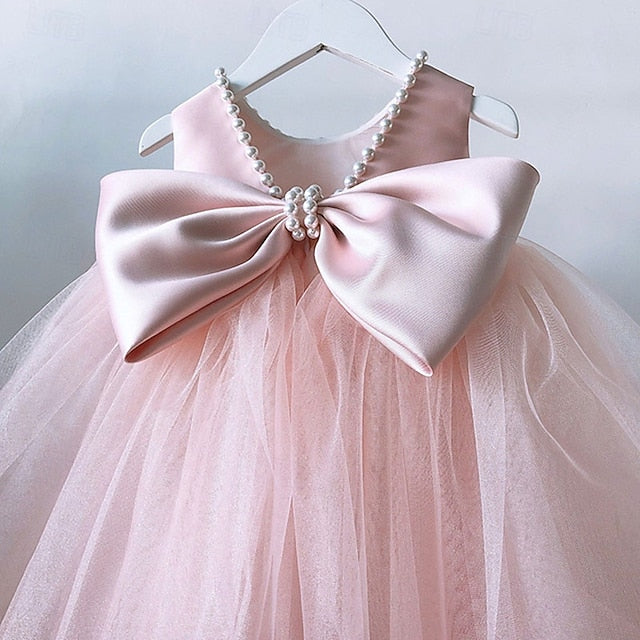 Girl Kid's Dress Princess Flower Girls'