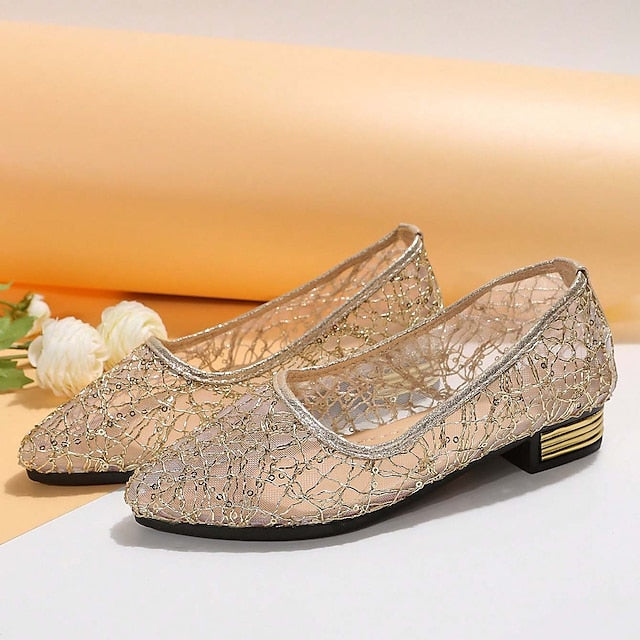 Elegant Mesh Women's Ballet Silver – Sequin Flats