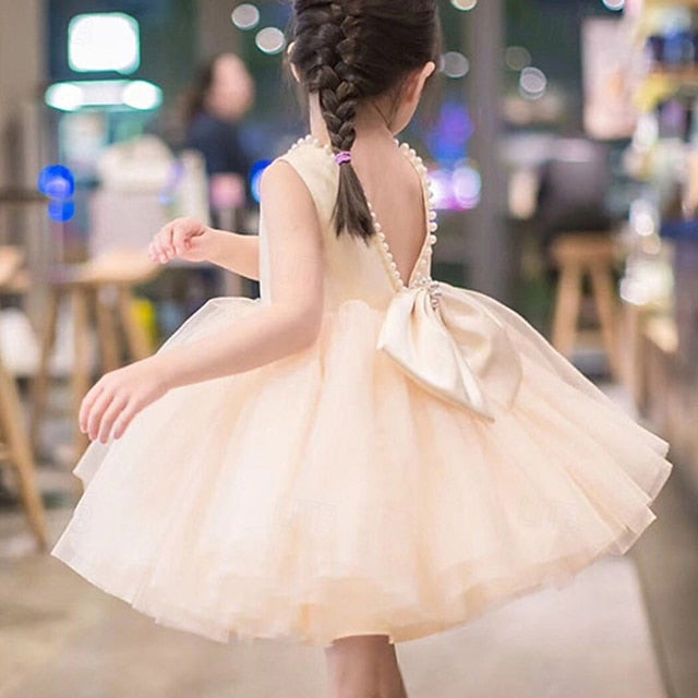 Girl Kid's Dress Princess Flower Girls'
