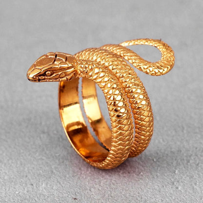 Stainless Steel Snake Ring