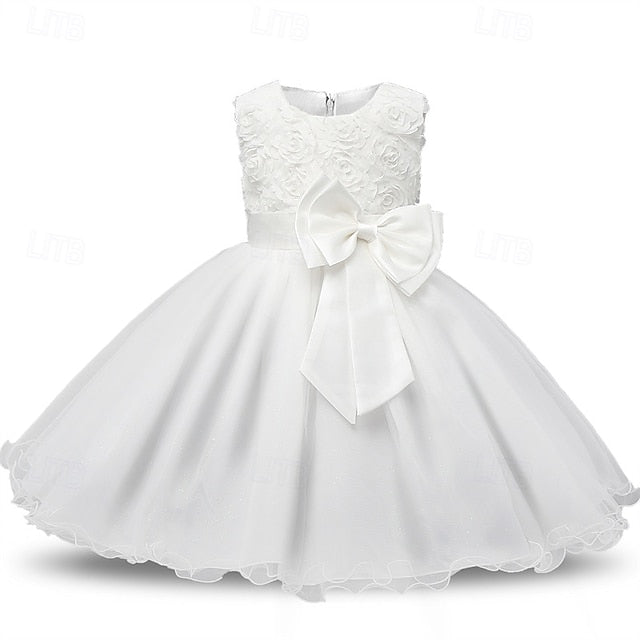 Kid's Dress Flower Girls' Girl Princess