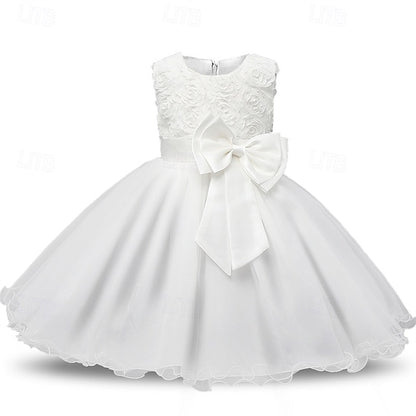Kid's Dress Flower Girls' Girl Princess