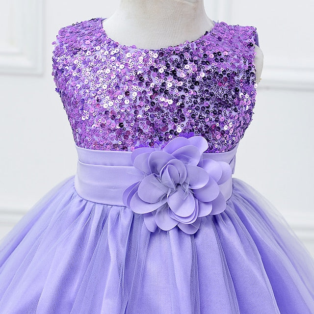 Party Wedding Girl Girls' Flower Dress