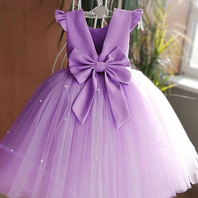 Flower Princess Dress First Communion Girl Girls'