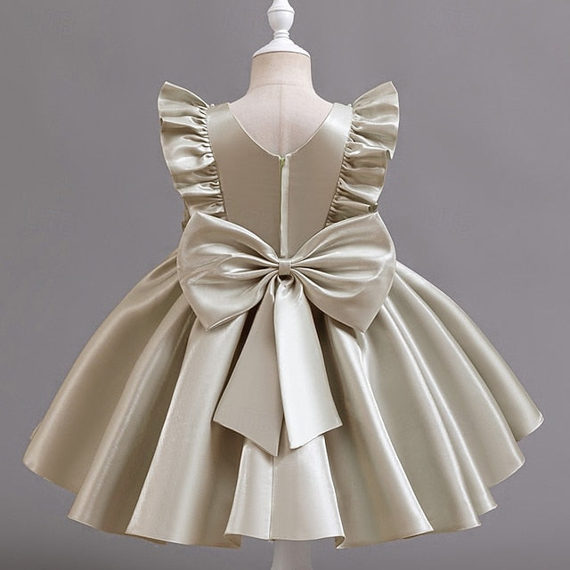 Sleeveless Dress Girls' Wedding Toddler Party Floral