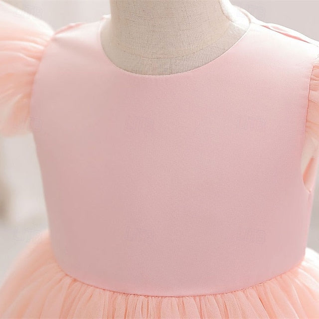 Flower Girl Kid's Dress Princess Girls'