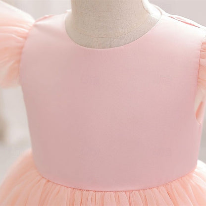 Flower Girl Kid's Dress Princess Girls'