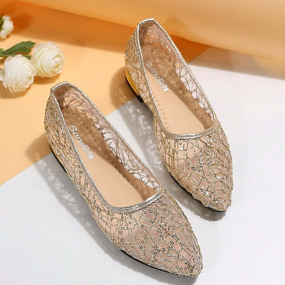 Elegant Mesh Women's Ballet Silver – Sequin Flats