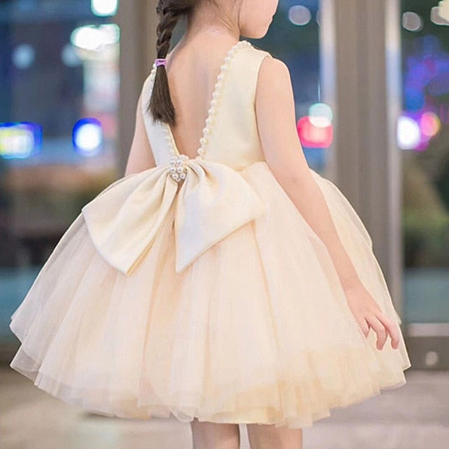 Girl Kid's Dress Princess Flower Girls'