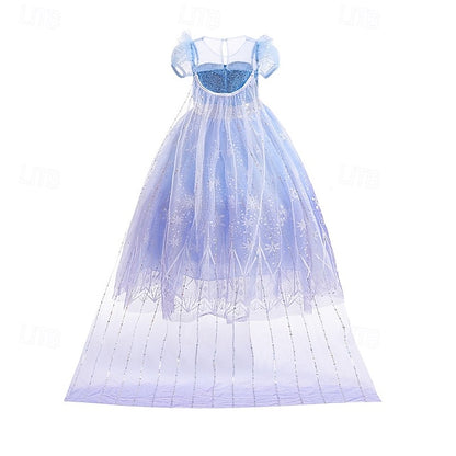 Girl Princess Party Elsa Theme Frozen Dress Fairytale Flower