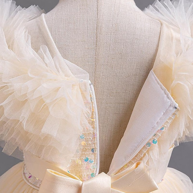 Kids Party Sequin Sleeveless Girls' Dress Girl Flower