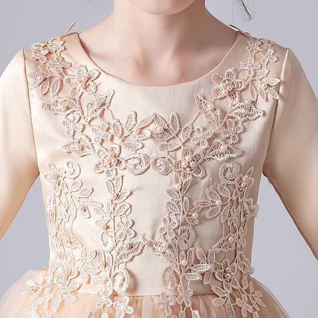 Princess Party Dress Flower Girls' Girl