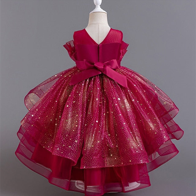 Flower Girls' Dress Girl Kid's Princess