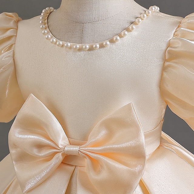 Special Girls' Girl Party Wedding Flower Dress