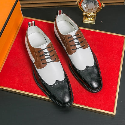 Shoes Tri-Color Brogue in Black Oxford Wingtip Men's