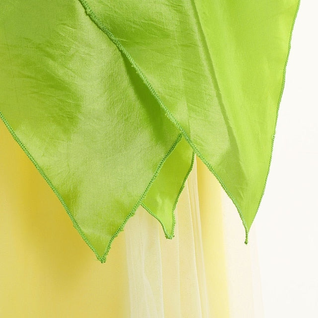 Dress Tiana Princess Girl Bell Flower Tinker Theme Fairytale