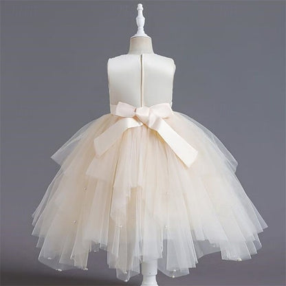 Princess Dress Kid's Flower Girls' Girl