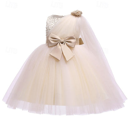 Flower Kid's Girl Princess Dress Girls'
