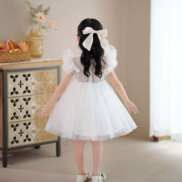 Princess Kid's Girls' Flower Dress Girl