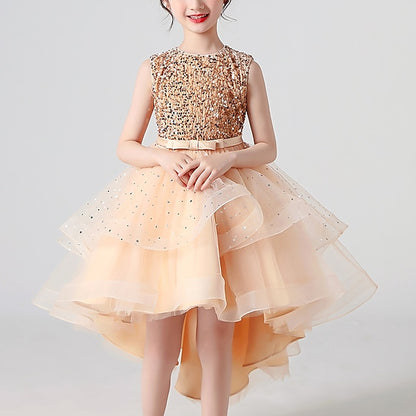 Princess Party Girl Girls' Flower Dress