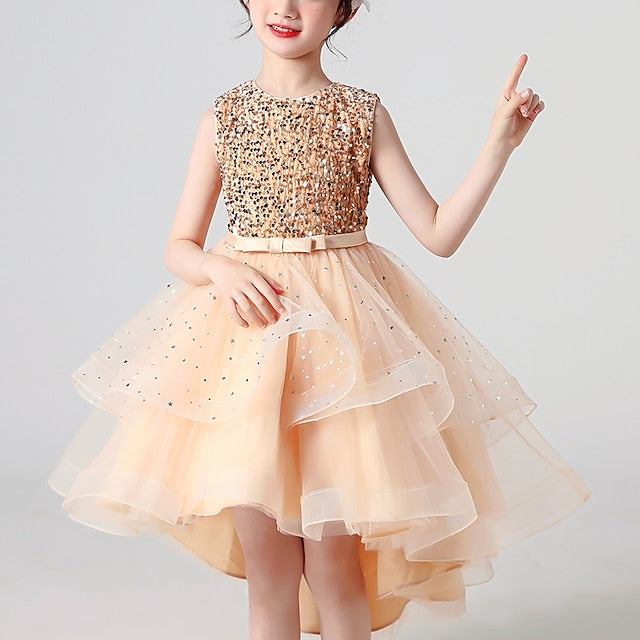 Princess Party Girl Girls' Flower Dress