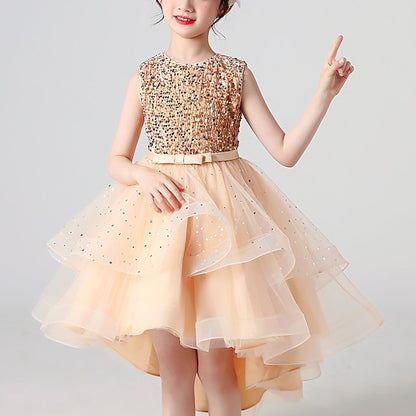 Princess Party Girl Girls' Flower Dress