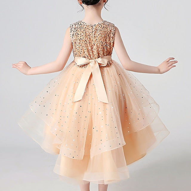 Princess Party Girl Girls' Flower Dress