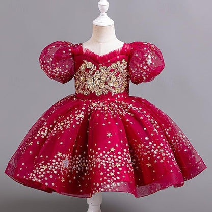 Girl Girls' Floral Party Sequin Flower Kids Dress