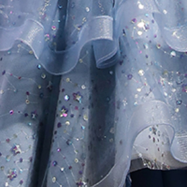 Performance Short Sleeve Dress Kids Girls' Sequin Party