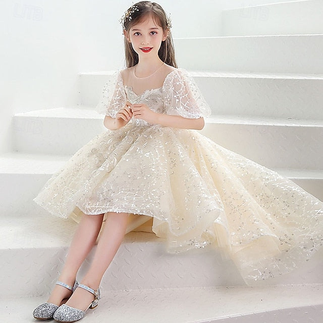 Girl Kid's Flower Girls' Princess Dress