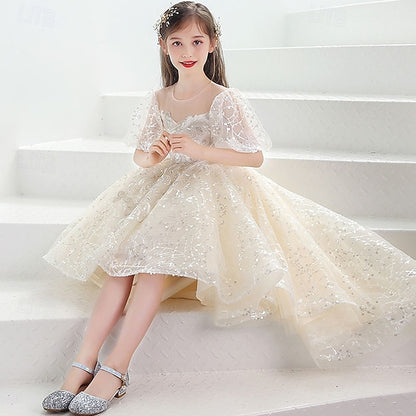 Girl Kid's Flower Girls' Princess Dress