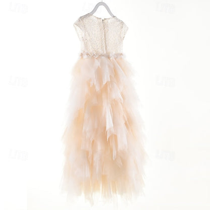 Flower Girls' Kid's Girl Dress Princess