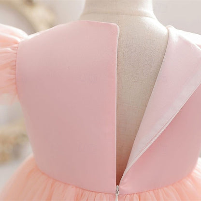 Flower Girl Kid's Dress Princess Girls'