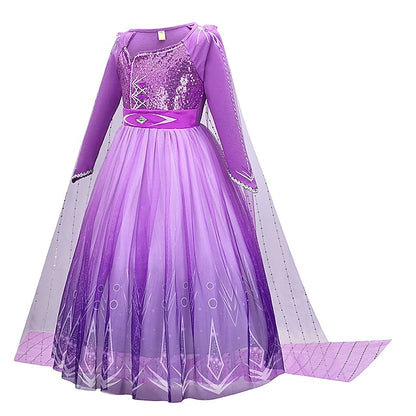 Dress Frozen Flower Party Fairytale Princess Anna Girl Theme