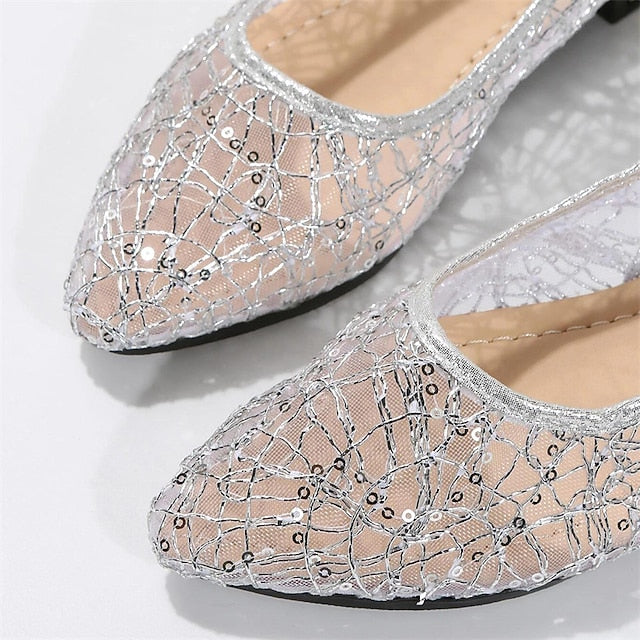 Elegant Mesh Women's Ballet Silver – Sequin Flats