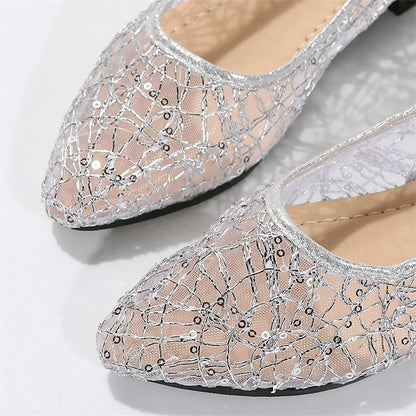 Elegant Mesh Women's Ballet Silver – Sequin Flats