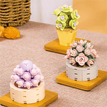 12 Succulents Assembly Building Blocks