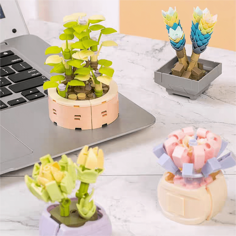 12 Succulents Assembly Building Blocks