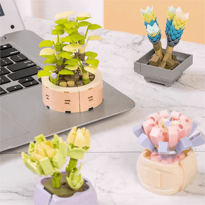 12 Succulents Assembly Building Blocks