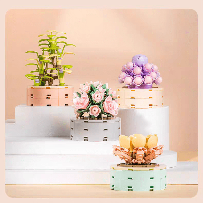 12 Succulents Assembly Building Blocks