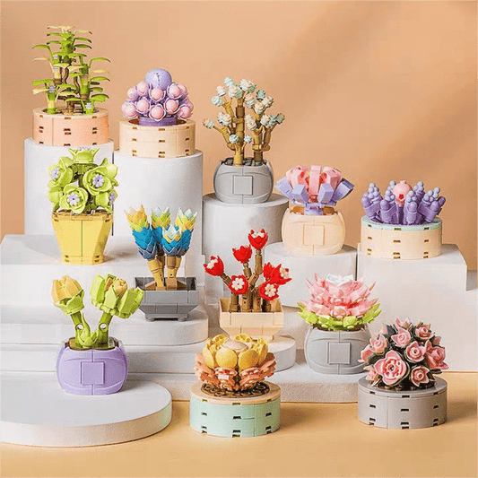 12 Succulents Assembly Building Blocks