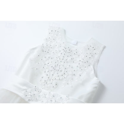 Wedding Girls' Flower Sleeveless Kids Girl Dress