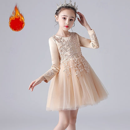 Girls' Dress Kid's Flower Girl Princess