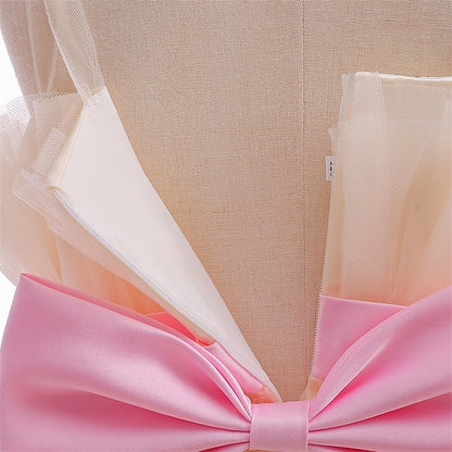 Dress Kid's Girl Girls' Princess Flower