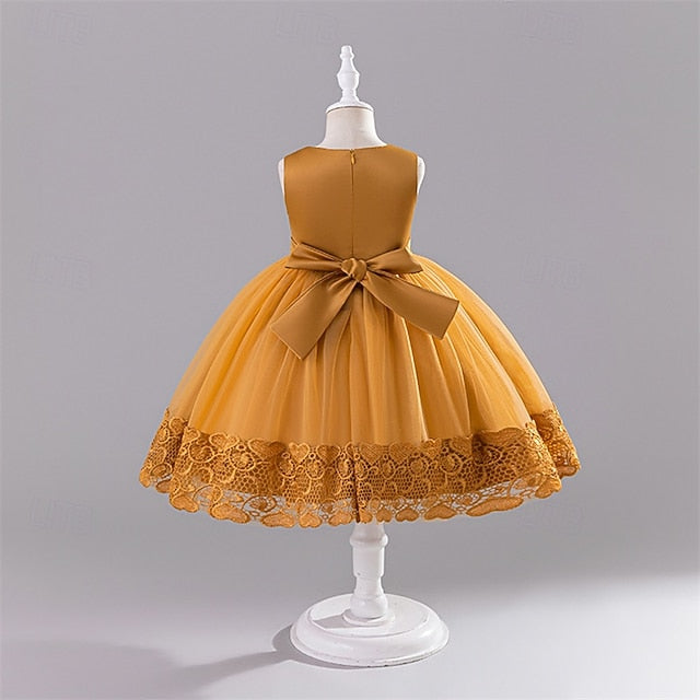 Girl Flower Kid's Dress Girls' Princess